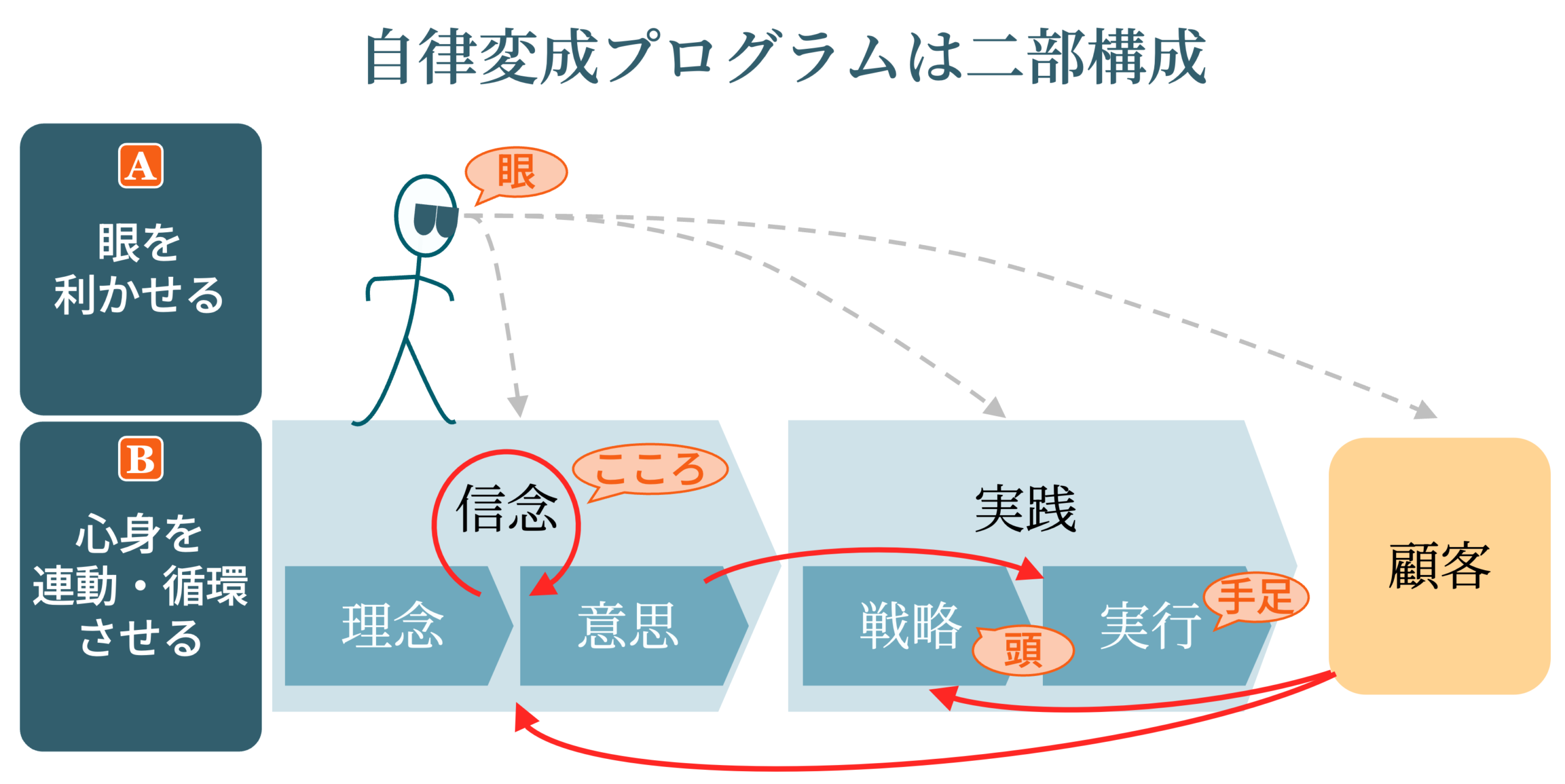 自律変成プログラムは二部構成